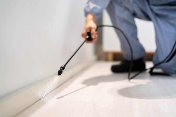 Licensed Pest Control service in Bolivar, OH - Show Me Pest Control